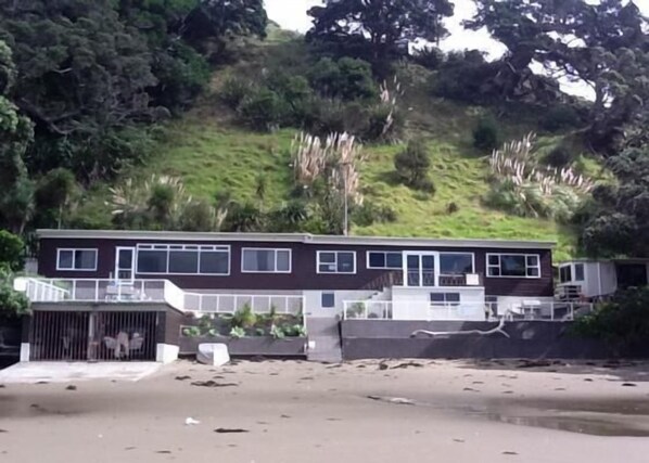 Bach on the right hand side stand on the beach 