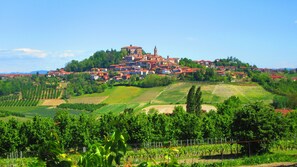 Govone castle across the valley. 