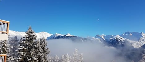 vue de la salle et de la chambre