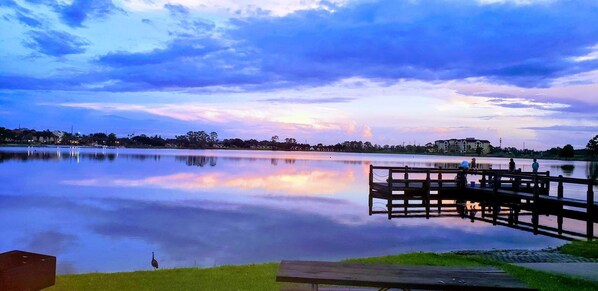 Our Raccoon lake, a 2 minute bike ride, less than a 10 minute walk.