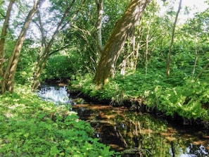 Parco della struttura