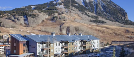 The Timbers with Mt. Crested Butte in the background.