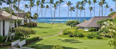 Lanai view