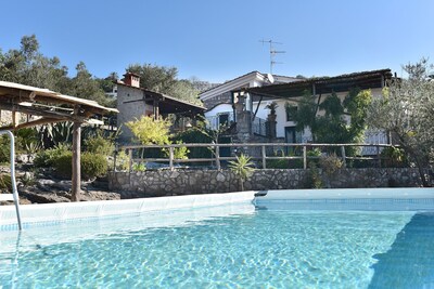 Picture of villa