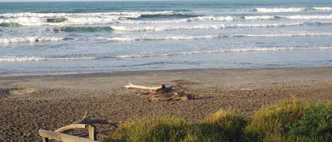 Ohope beach - across the road from the house