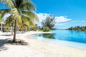 This picturesque beachfront welcomes you to paradise.