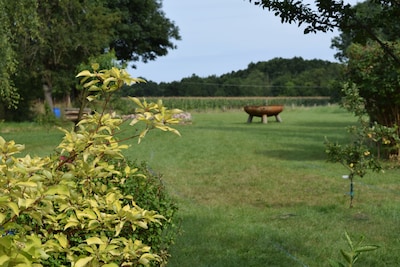 Lovingly renovated holiday home fully equipped with a fireplace for single use