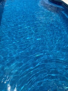 New! Walkout suite, private swimming pool available, views, I-81 VT, RU, aquatic