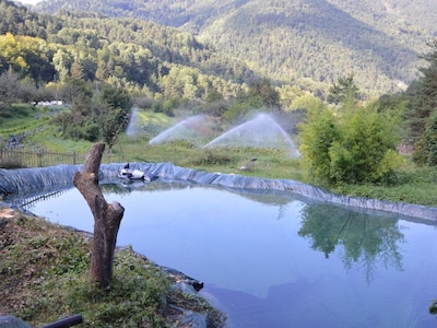 Fattoria Val des Prés, Turtle Lodge