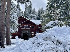Tree, House, Cabin, Nature, Outdoors