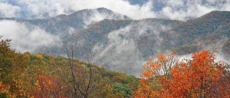 Enjoy Autumn colors in the Smoky mornings