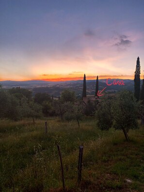 Abendstimmung mit Ausblick