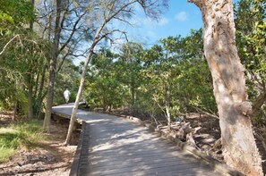 Costigan Mangrove walk across the road... see crabs, birds, fish.