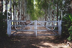 Jardines del alojamiento