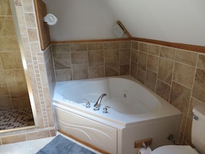 Jacuzzi with sound system. Relax in the tub while listening to your music.