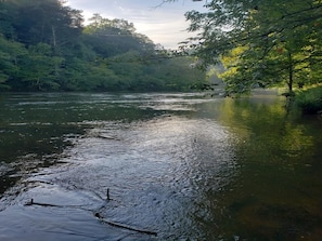 Lago