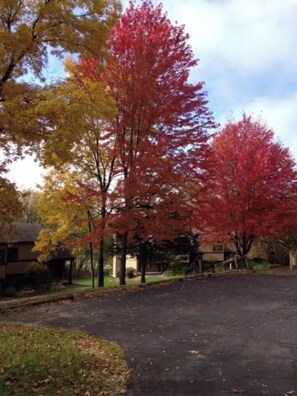 Front view from our door step!! 