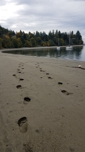 you have free access to miles of private beach to explore 
