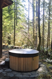 Waterfront Mtn Retreat, BBQ, Outdoor Fire Pit, Ping Pong, Hot tub!