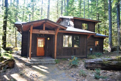 Waterfront Mtn Retreat, BBQ, Outdoor Fire Pit, Ping Pong, Hot tub!