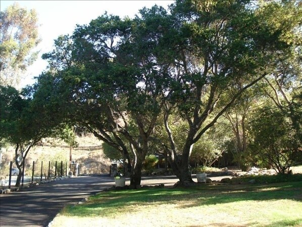 Parco della struttura