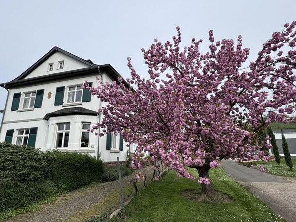 Ferienwohnung Im Kelterhaus