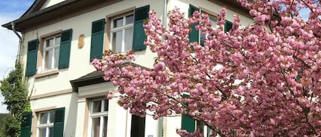 Ferienwohnung Im Kelterhaus