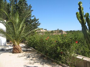 Terrain de l’hébergement 