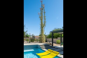 Majestic Boojum trees presiding over yard with a variety of desert plant life