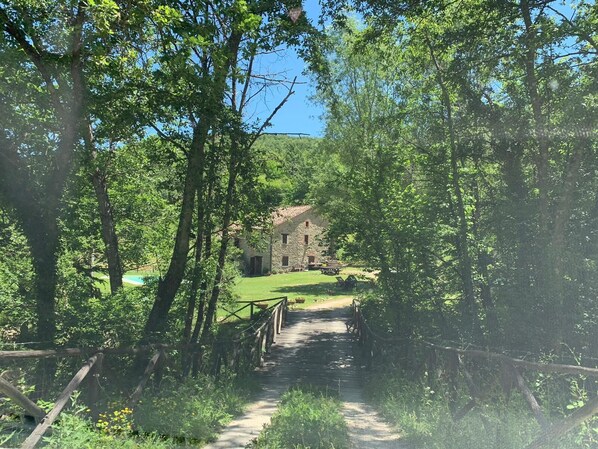 Terrain de l’hébergement 