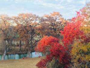 Amazing fall colors on your 2 mile river hike! 