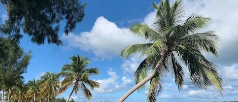 Best Beaches and No Cleaning Fee!