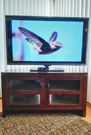 Télévision