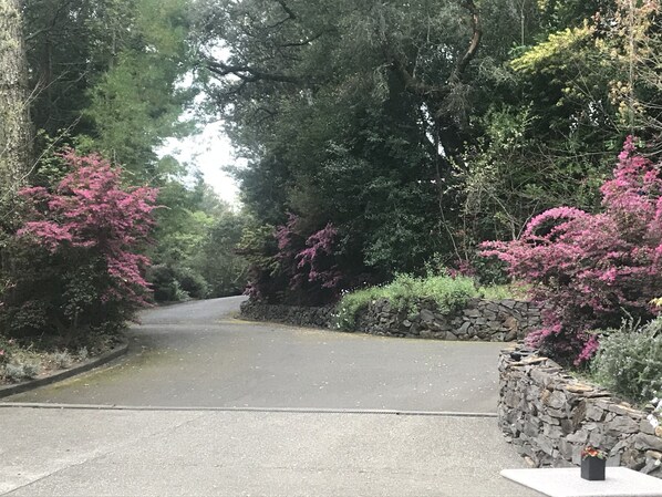 施設の敷地