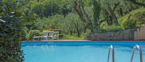 Water, Plant, Sky, Property, Swimming Pool, Nature, Azure, Tree, Vegetation, Outdoor Furniture