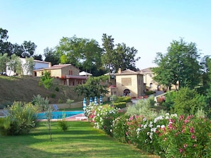 Plante, Bâtiment, Fleur, Ciel, Communauté Des Plantes, Fenêtre, Arbre, Botanique, Maison, Lot Terre