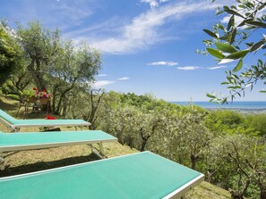 Eigentum, Schwimmbad, Vegetation, Natürliche Landschaft, Himmel, Resort, Urlaub, Haus, Grundeigentum, Baum