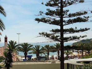 Beach/ocean view