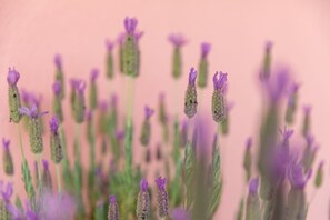 Detalj interiör