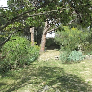 Property grounds