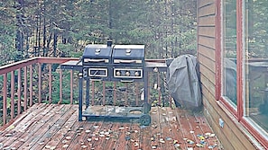 Charcoal and Gas Grill