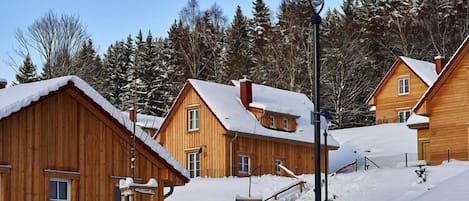 Exterior casa de vacaciones [invierno]