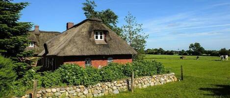 Außenseite Ferienhaus [Sommer]