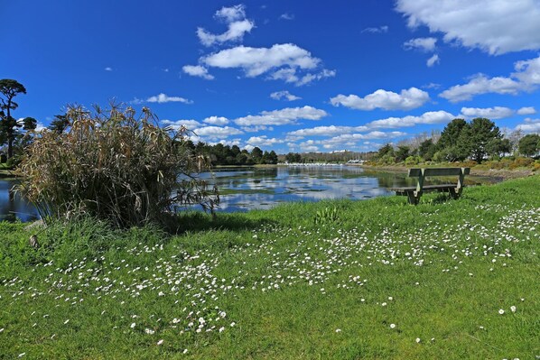 Region [summer] (&gt;5 km)
