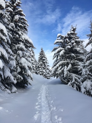 Snow and ski sports