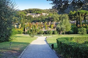 Jardin [été]