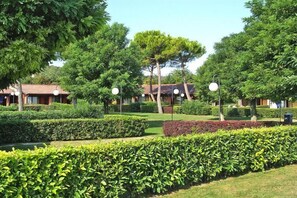 Trädgård [sommar]
