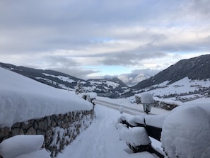 Utsikt från luften