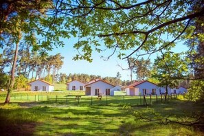 Stugans exteriör [sommar]