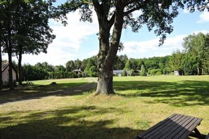 Jardin [été]